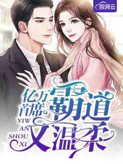 顾晚晴傅天行