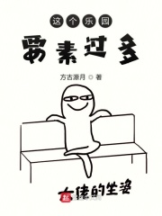 这个乐园要素过多