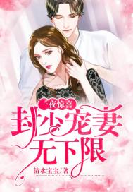 一夜惊喜:封少宠妻无下限