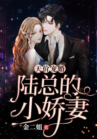 天价宠婚:陆总的小娇妻