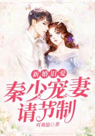 新婚旧爱:秦少宠妻请节制