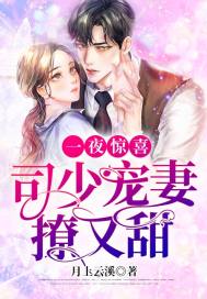 一夜惊喜:司少宠妻撩又甜