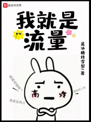 我就是流量