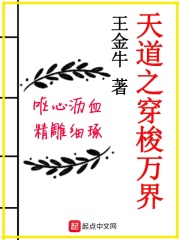 天道之穿梭万界